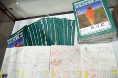 P1133780