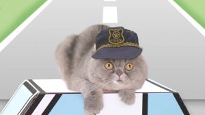 猫専用交通安全動画