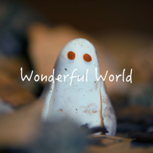 Wonderful World