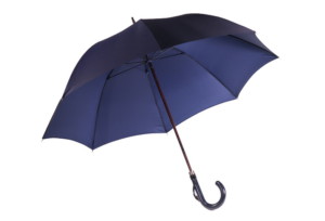 トトロの雨傘