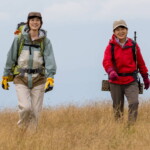 映画『てっぺんの向こうにあなたがいる』