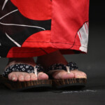 映画『火喰鳥を、喰う』完成披露試写会