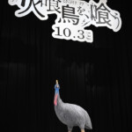 映画『火喰鳥を、喰う』完成披露試写会