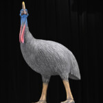 映画『火喰鳥を、喰う』完成披露試写会