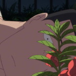 オリジナルアニメ映画『ホウセンカ』