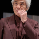 映画『てっぺんの向こうにあなたがいる』完成披露試写会