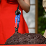 映画『火喰鳥を、喰う』大ヒット祈願イベント