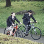 映画『恋に至る病』