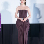 映画『てっぺんの向こうにあなたがいる』第38回東京国際映画祭オープニング上映舞台挨拶