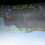 映画『火喰鳥を、喰う』大ヒット御礼舞台挨拶