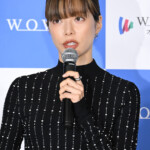 「連続ドラマＷ シャドウワーク」完成報告会