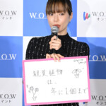 「連続ドラマＷ シャドウワーク」完成報告会