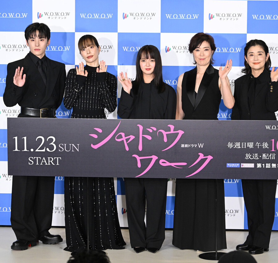 「連続ドラマW シャドウワーク」完成報告会