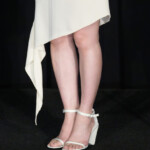 映画『てっぺんの向こうにあなたがいる』初日舞台挨拶