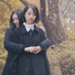 映画『白の花実』