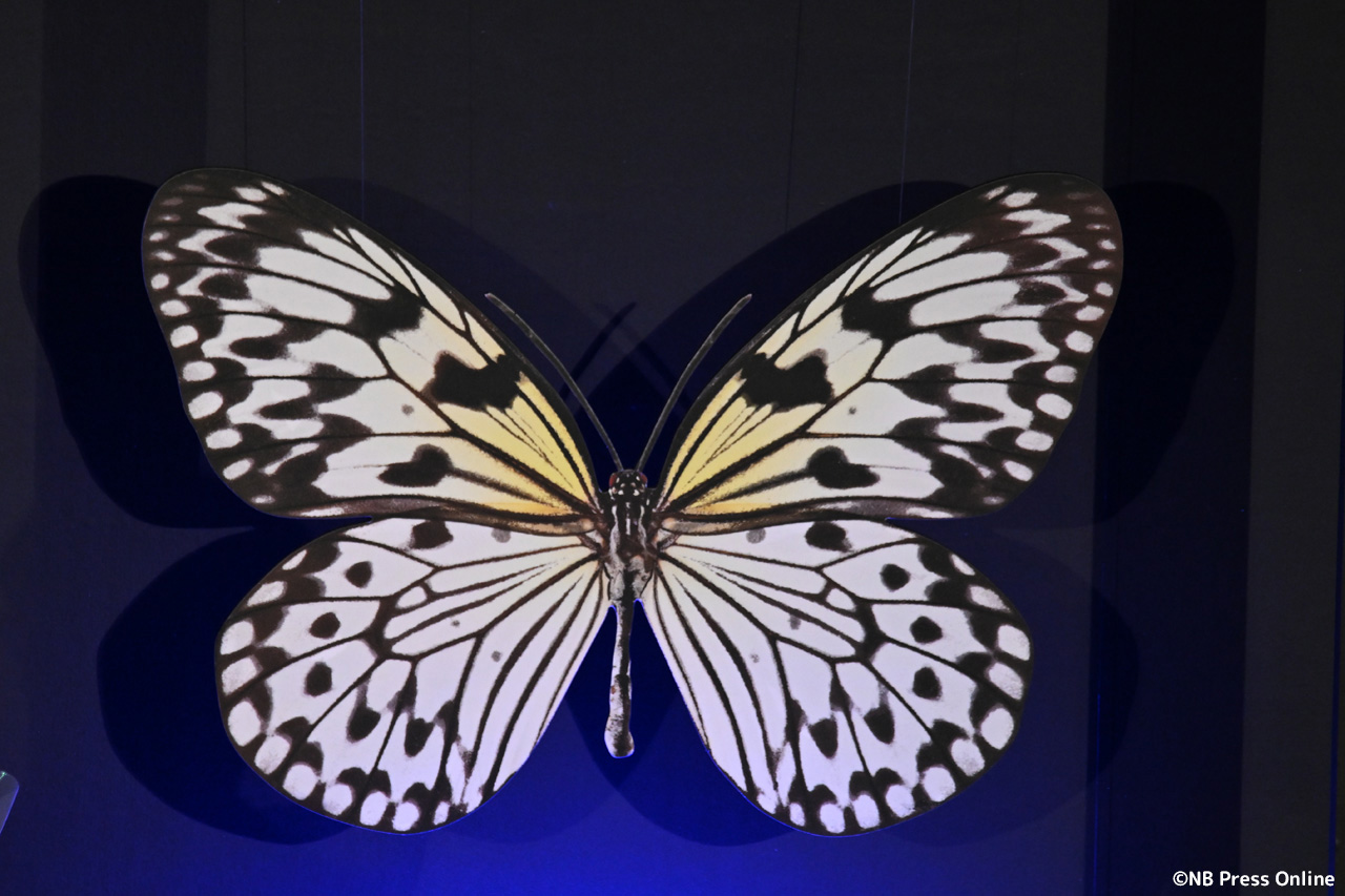 ドラマ『人間標本』プレミアイベント