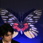 ドラマ『人間標本』プレミアイベント