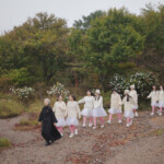 映画『白の花実』