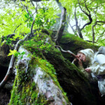 映画『たしかにあった幻』