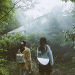 映画『とれ！』