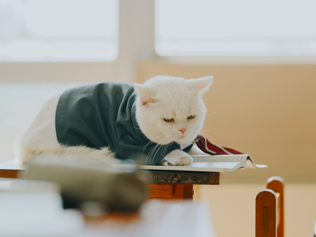 映画『高校生家族』