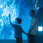 映画『箱の中の羊』