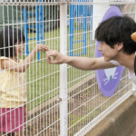 映画『私はあなたを知らない、』