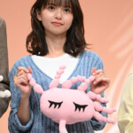 ドラマ24『まめとむぎ』記者会見