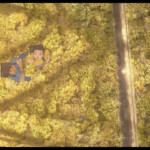 映画『我々は宇宙人』