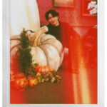 instax mini Evo 2__作例04_ラトリークxイエローグリーン